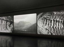 Saara Ekström Geopsychee Utstallning Museum Anna Nordlander 4